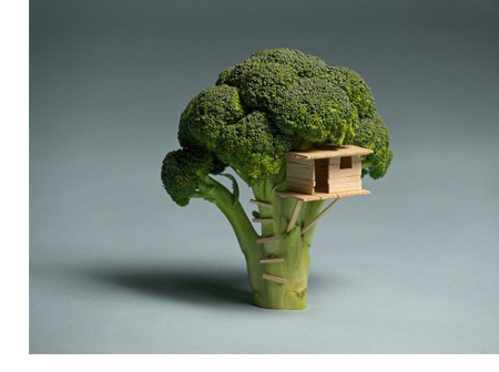 Broccoli tree house…