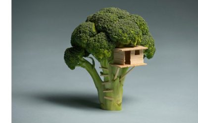 Broccoli tree house…