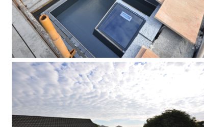 Extension & Upgrade Works, South Dublin – Week 11
